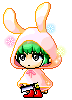 CottonSowp